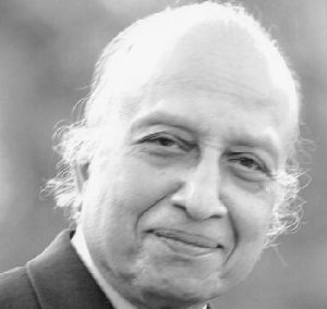 वि. ना. श्रीखंडे, २०११