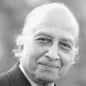 वि. ना. श्रीखंडे, २०११