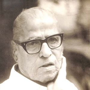 श्रीपाद नारायण पेंडसे, १९९६