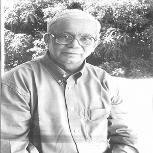 श्रीनिवास विनायक कुलकर्णी, २००१