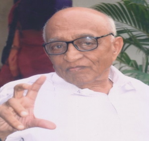 नरेंद्र चपळगावकर